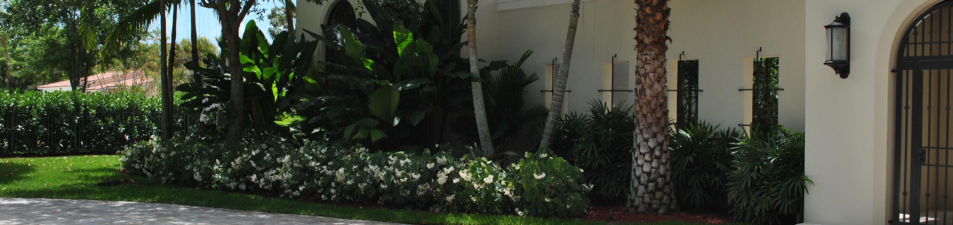 Tropical Way East Landscaping Projects