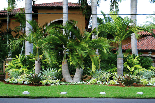 Miami Landscape Design