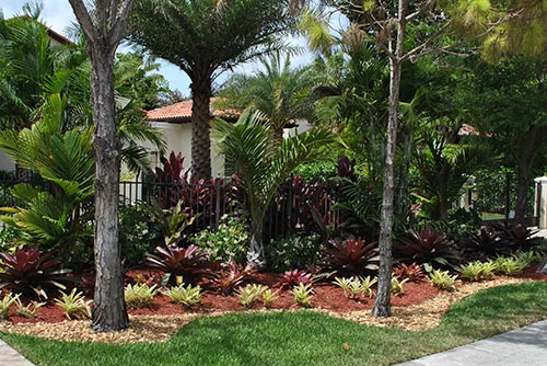 Miami Landscaping Bed